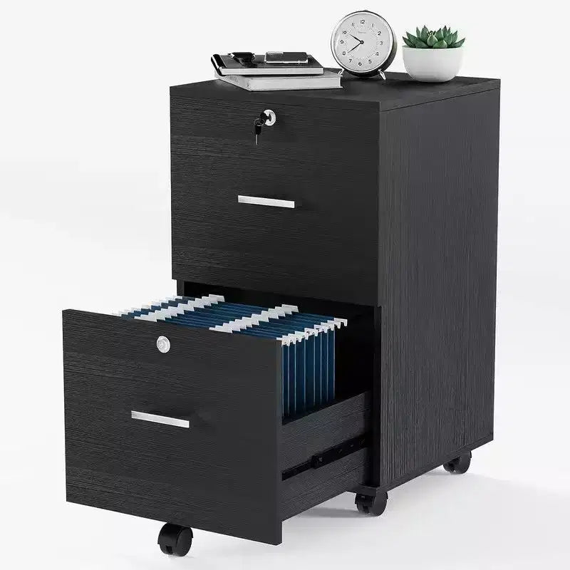 Karl Home 2-Drawer Black MDF 15.75in. W Vertical File Cabinet