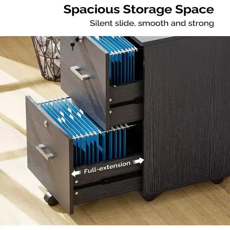 Karl Home 2-Drawer Black MDF 15.75in. W Vertical File Cabinet