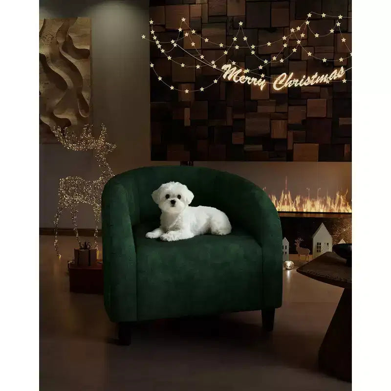 Fauteuils Fauteuils Crapaud Fauteuils Club Confortables avec Pieds Robustes pour Chambre Salon Salle d'Attente